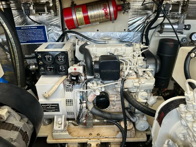 Slide: The Image of Carolina 35 2004 - 5847048