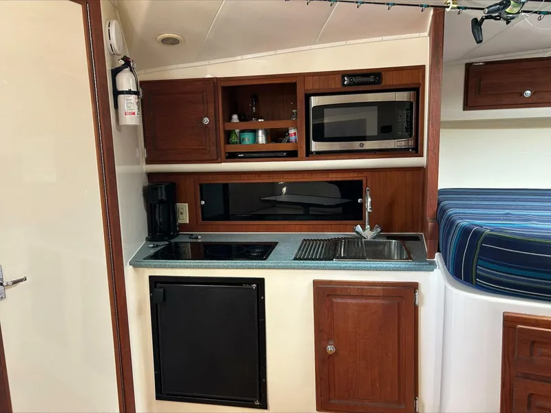 Slide: The Image of Carolina 35 2004 - 5847051