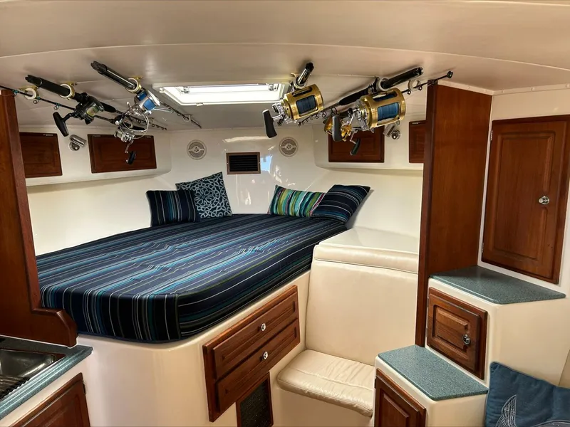 Slide: The Image of Carolina 35 2004 - 5847052