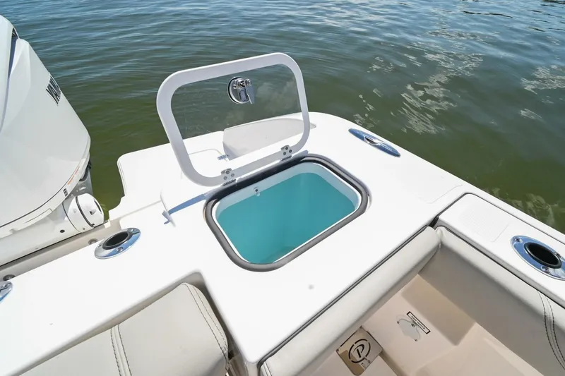 Slide: The Image of Pursuit S248 2024 - 4874200