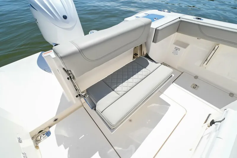 Slide: The Image of Pursuit S248 2024 - 4874203