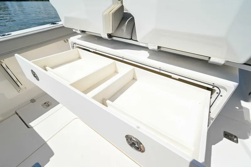 Slide: The Image of Pursuit S248 2024 - 4874205