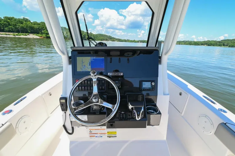 Slide: The Image of Pursuit S248 2024 - 4874210