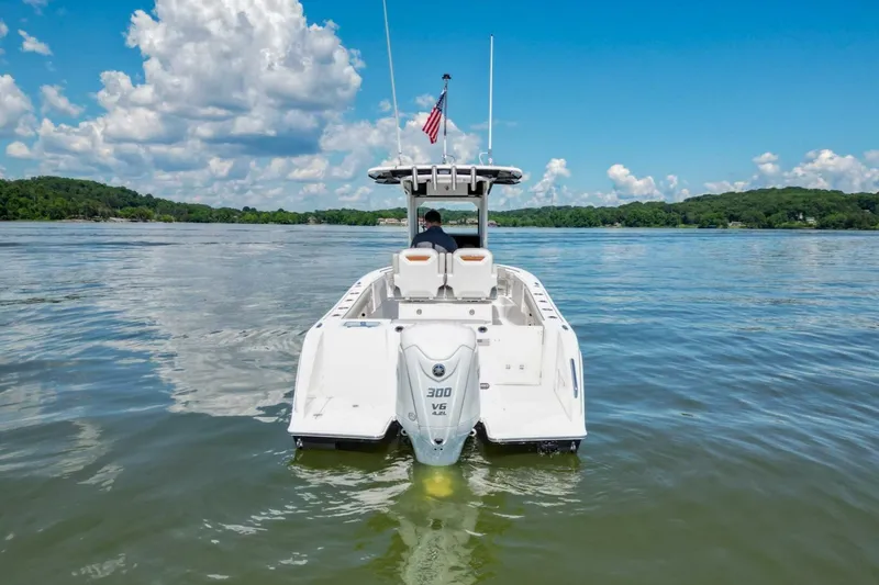 Slide: The Image of Pursuit S248 2024 - 4874192