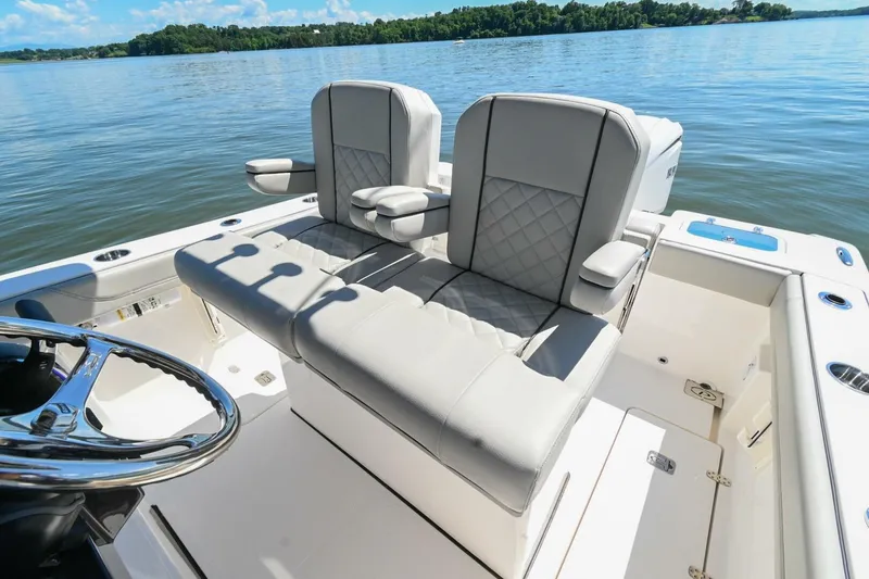 Slide: The Image of Pursuit S248 2024 - 4874217