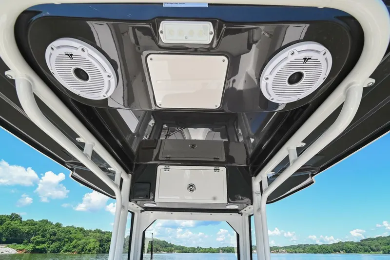 Slide: The Image of Pursuit S248 2024 - 4874219