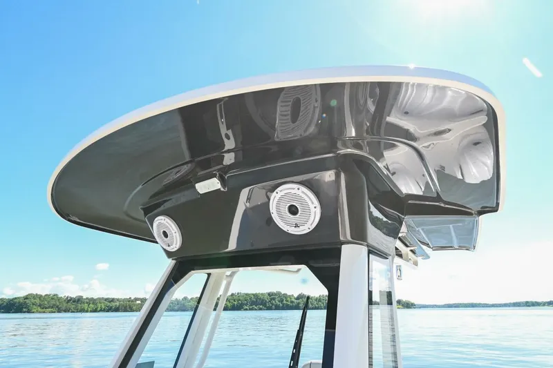 Slide: The Image of Pursuit S248 2024 - 4874220