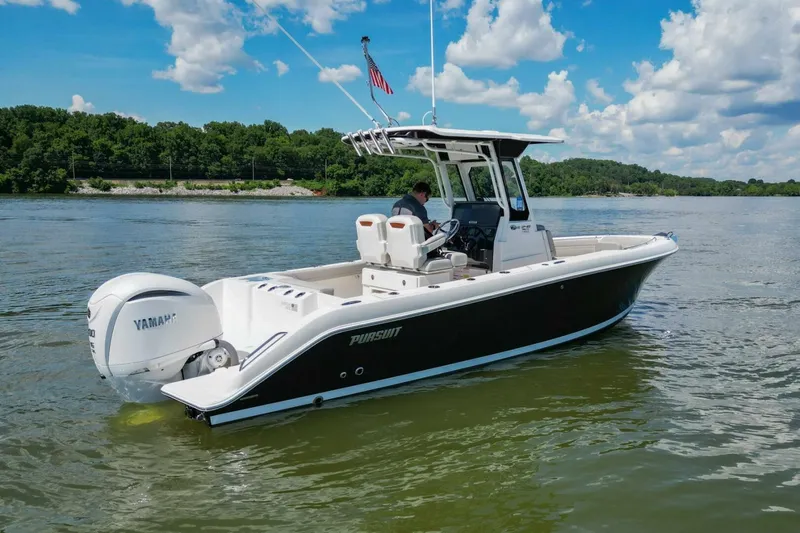 Slide: The Image of Pursuit S248 2024 - 4874193