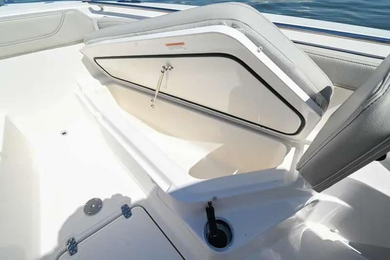 Slide: The Image of Pursuit S248 2024 - 4874225