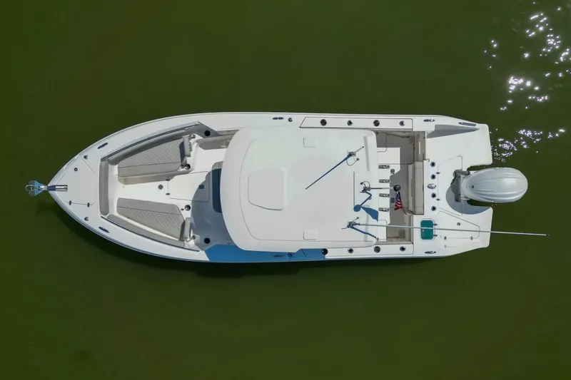 Slide: The Image of Pursuit S248 2024 - 4874194