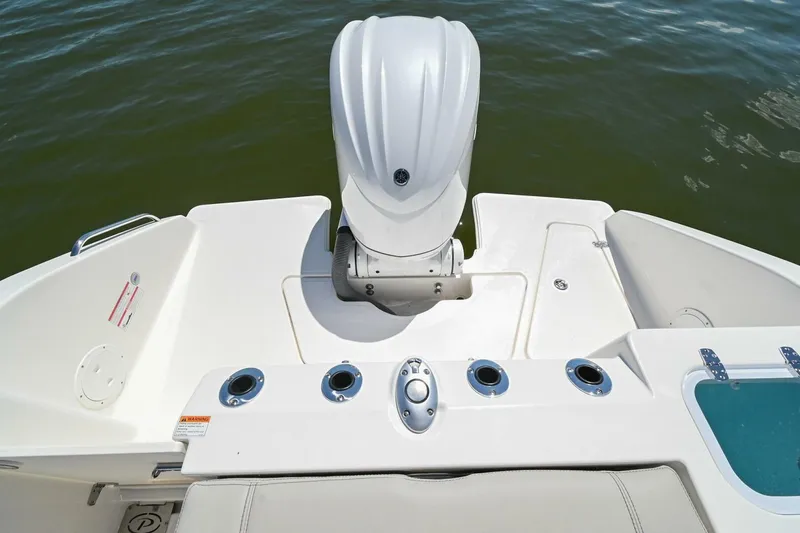 Slide: The Image of Pursuit S248 2024 - 4874197