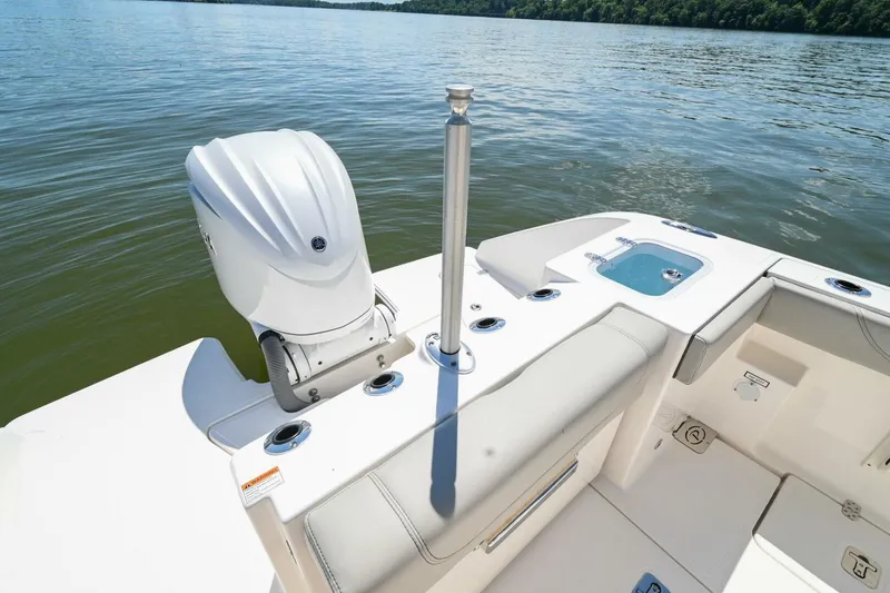 Slide: The Image of Pursuit S248 2024 - 4874199