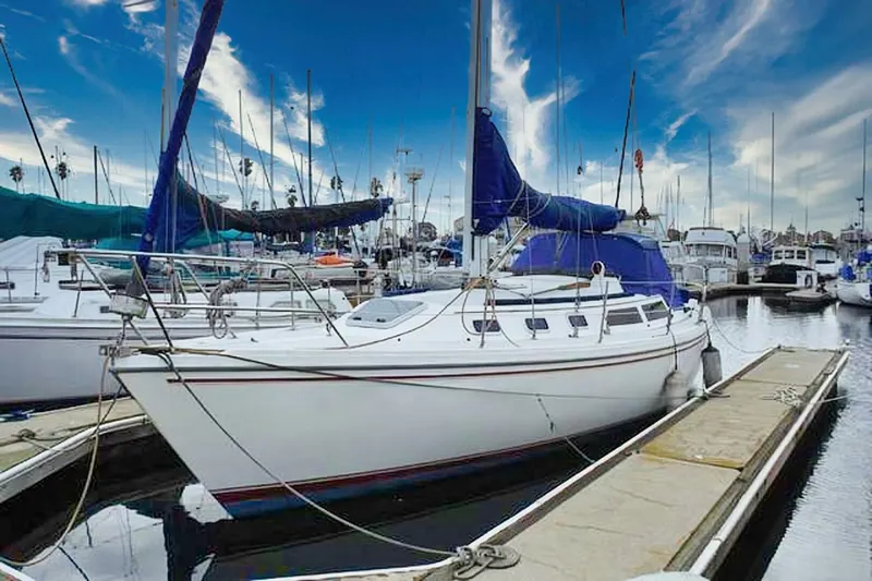 The Image of Catalina 34 1988 - 4878432