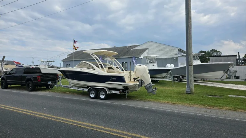 Slide: The Image of Scout 240 Dorado 2025 - 4879597