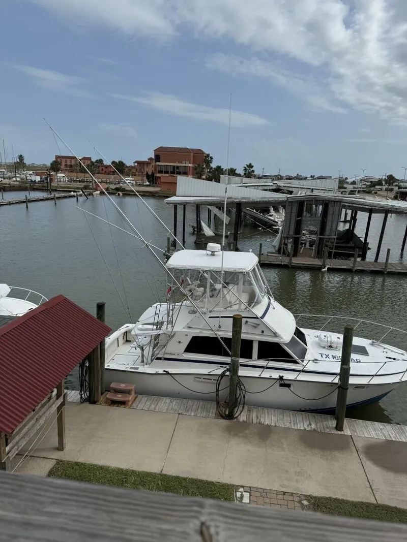 Slide: The Image of 1983 Bertram 385 Convertible Cast Off II - 4886186