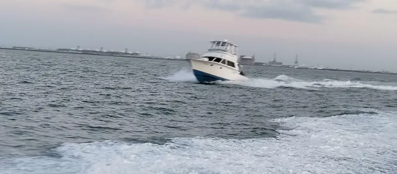 Slide: The Image of 1983 Bertram 385 Convertible Cast Off II - 4886189