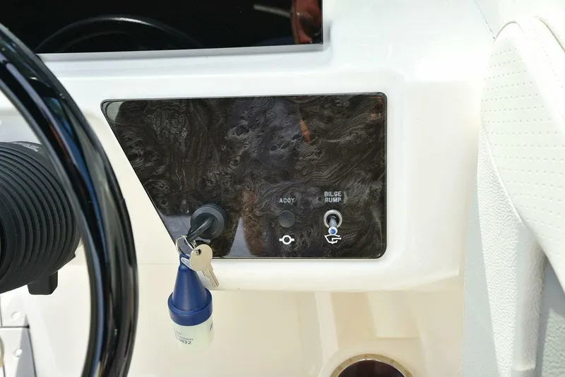 Slide: The Image of Sea Ray SPX 190 2020 - 4887310