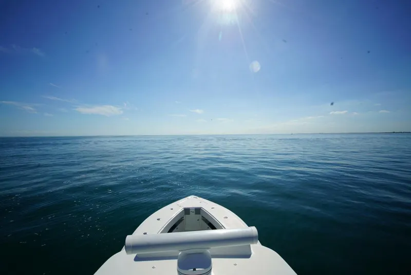 Slide: The Image of SeaVee 390Z 2018 - 4888256