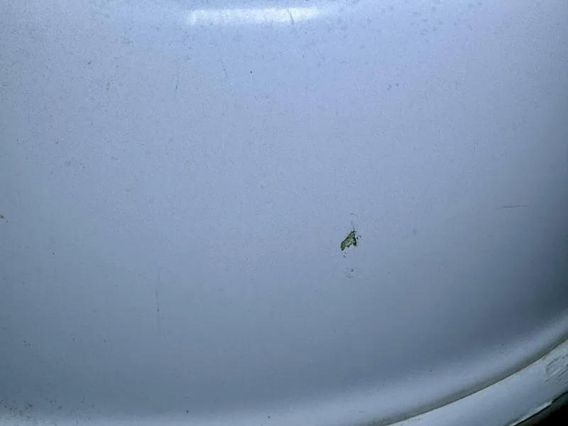 Slide: The Image of Four Winns Vista 288 2004 - 4888637