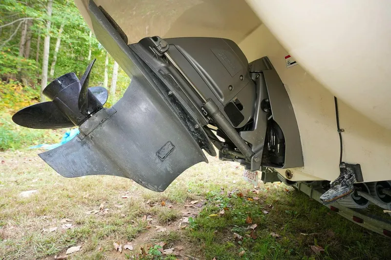 Slide: The Image of Stingray 225 CR 2016 - 4888880