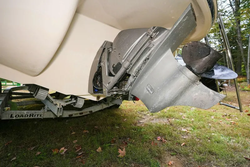 Slide: The Image of Stingray 225 CR 2016 - 4888910