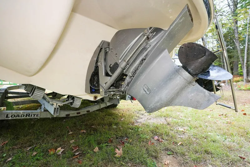 Slide: The Image of Stingray 225 CR 2016 - 4888861