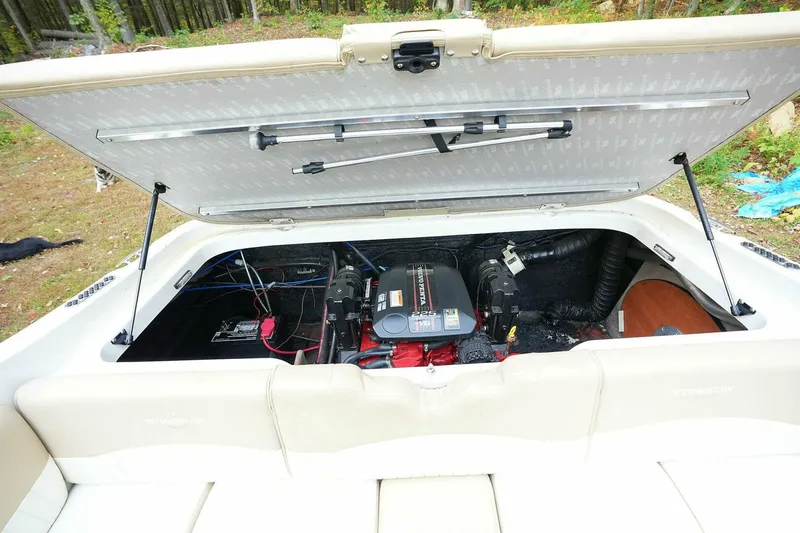 Slide: The Image of Stingray 225 CR 2016 - 4889019