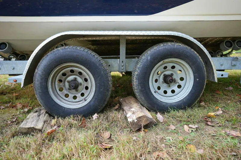 Slide: The Image of Stingray 225 CR 2016 - 4888858