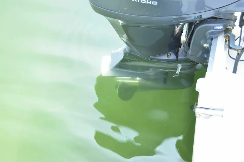 Slide: The Image of Hurricane SunDeck 217 OB 2011 - 4890787