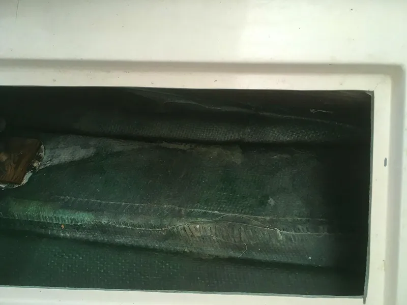 Slide: The Image of Bertram Bahia Mar 20 1969 - 4896454