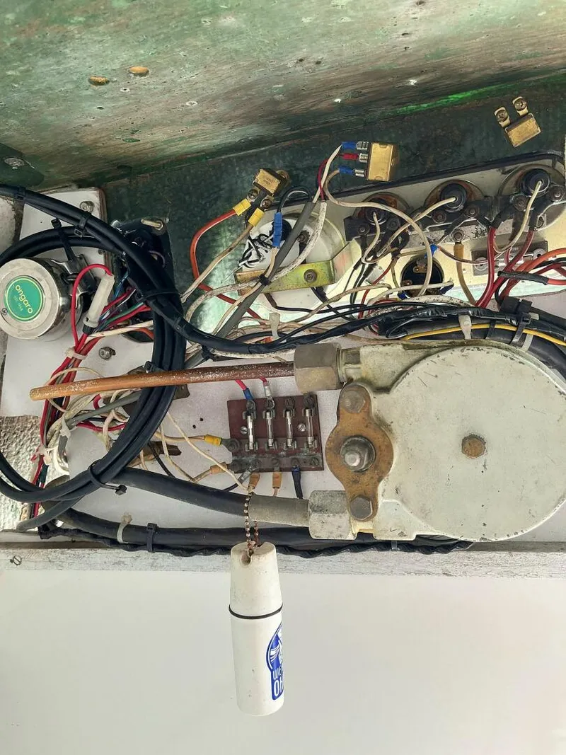 Slide: The Image of Bertram Bahia Mar 20 1969 - 4896456