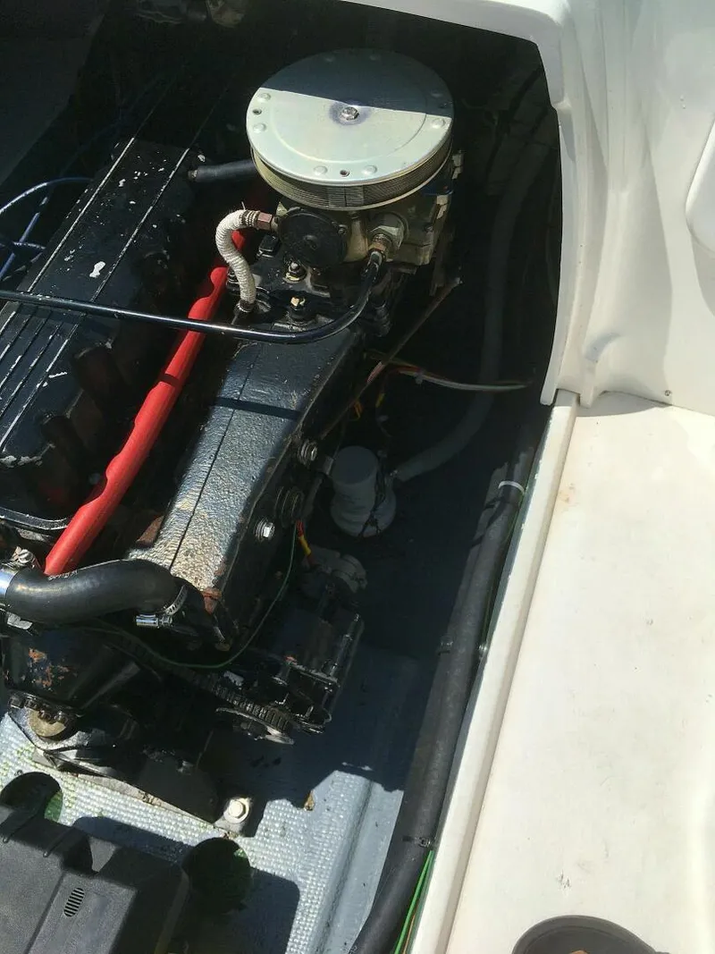 Slide: The Image of Bertram Bahia Mar 20 1969 - 4896459