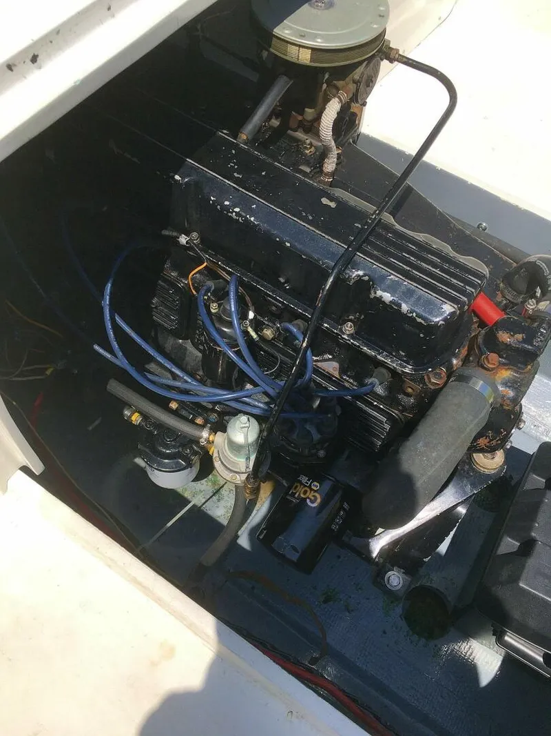 Slide: The Image of Bertram Bahia Mar 20 1969 - 4896461