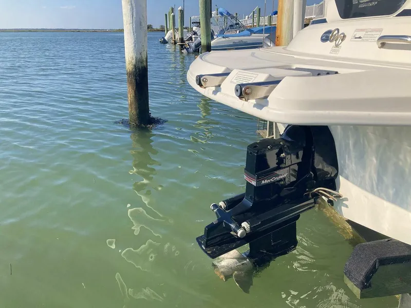 Slide: The Image of Sea Ray 190 Sport 2012 - 4896524