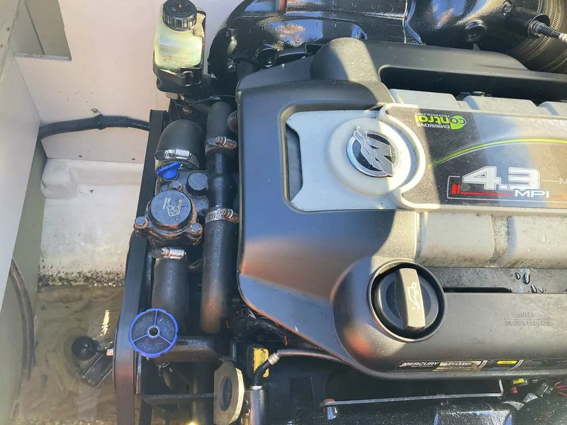 Slide: The Image of Sea Ray 190 Sport 2012 - 4896549