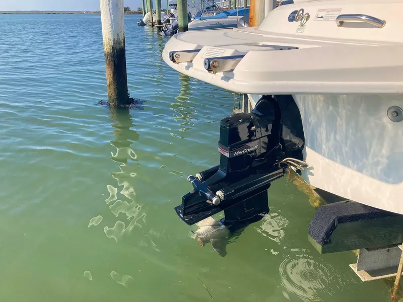 Slide: The Image of Sea Ray 190 Sport 2012 - 7514966