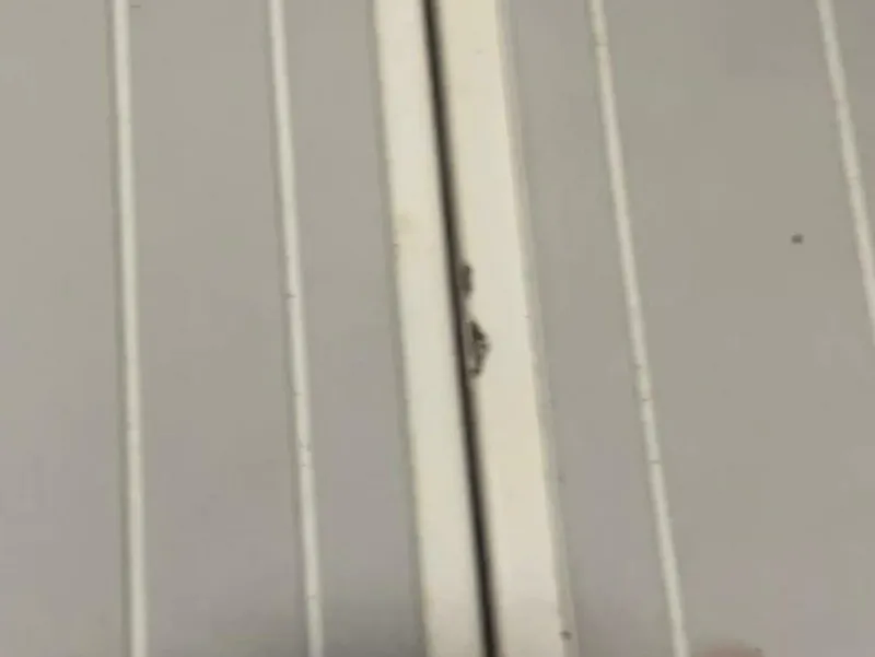 Slide: The Image of Wellcraft Scarab 30 Cuddy 1990 - 5660779