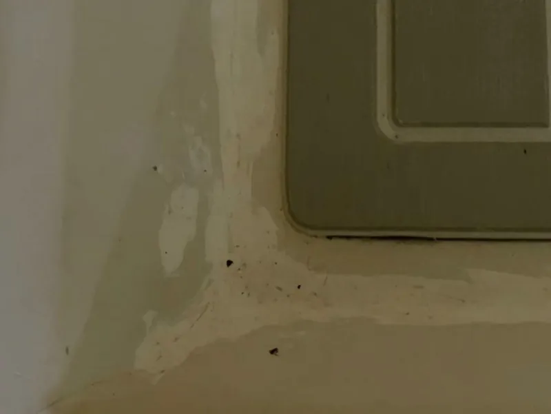 Slide: The Image of Wellcraft Scarab 30 Cuddy 1990 - 5660780