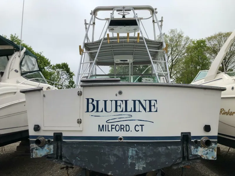 Slide: The Image of Shannon Brendan 28 1990 - 4907388