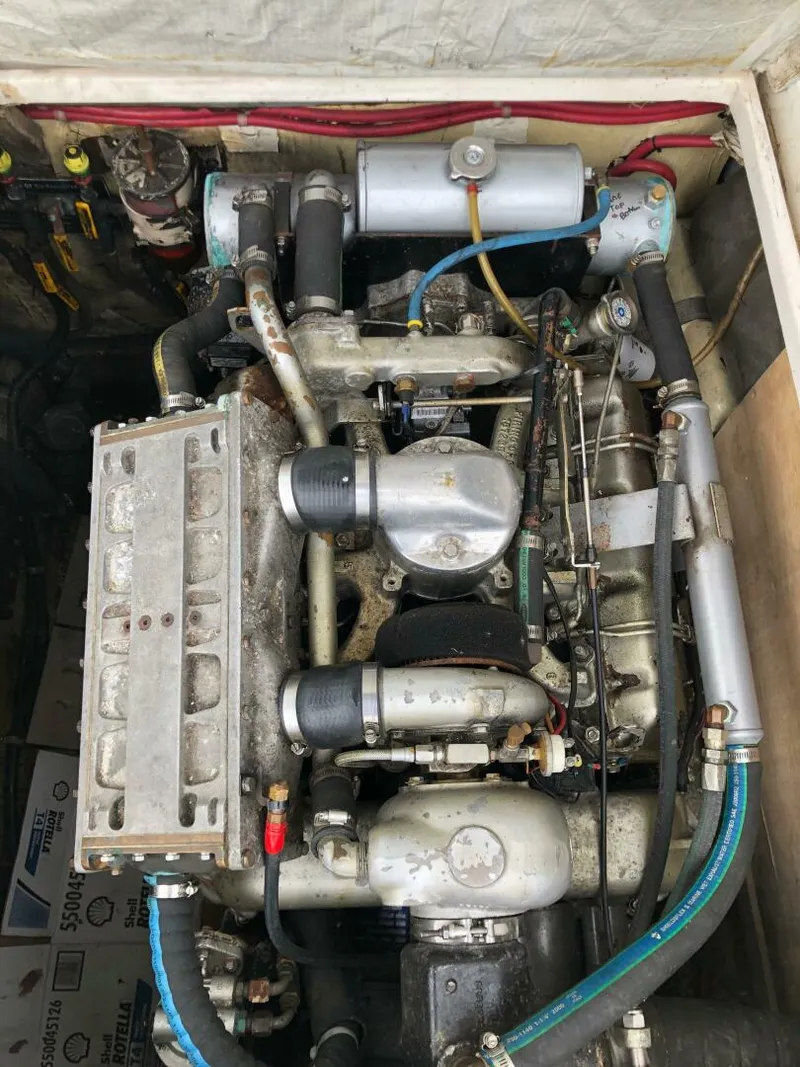 Slide: The Image of Shannon Brendan 28 1990 - 4907389