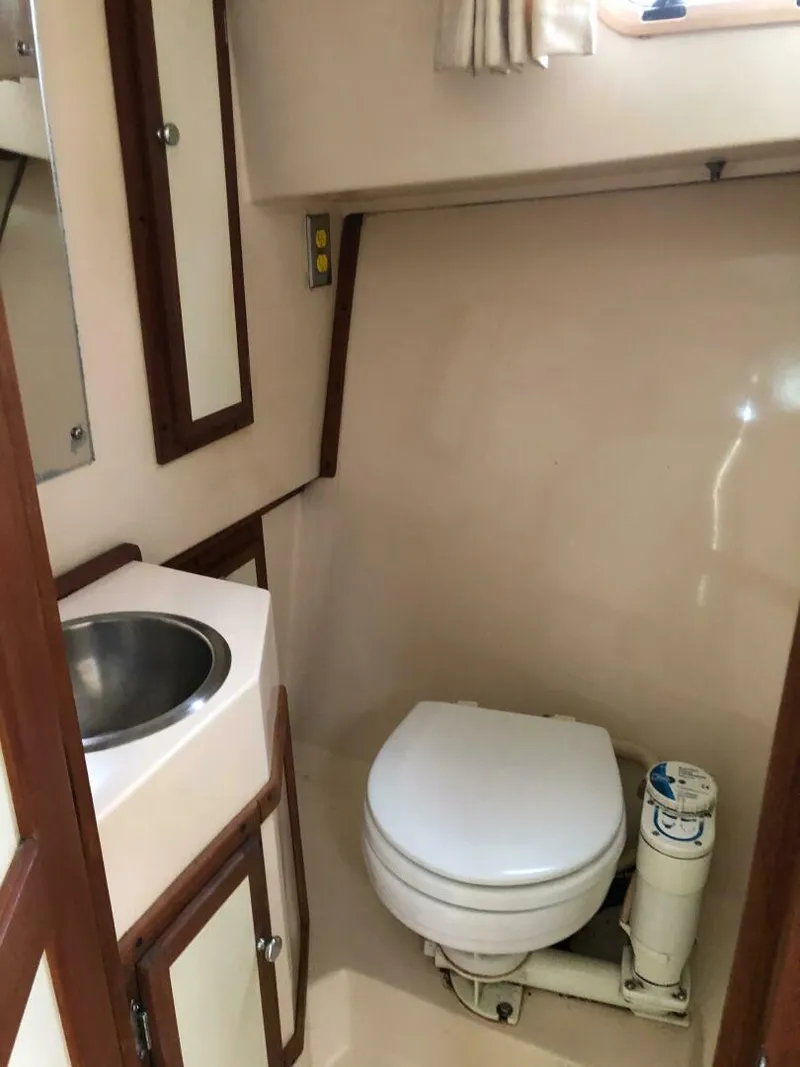 Slide: The Image of Shannon Brendan 28 1990 - 4907397