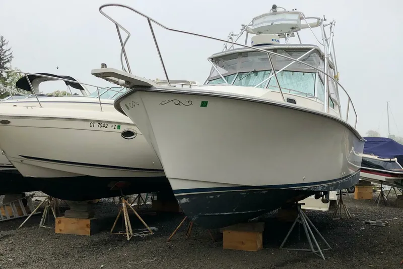 Slide: The Image of Shannon Brendan 28 1990 - 4907401