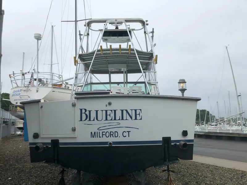 Slide: The Image of Shannon Brendan 28 1990 - 4907382