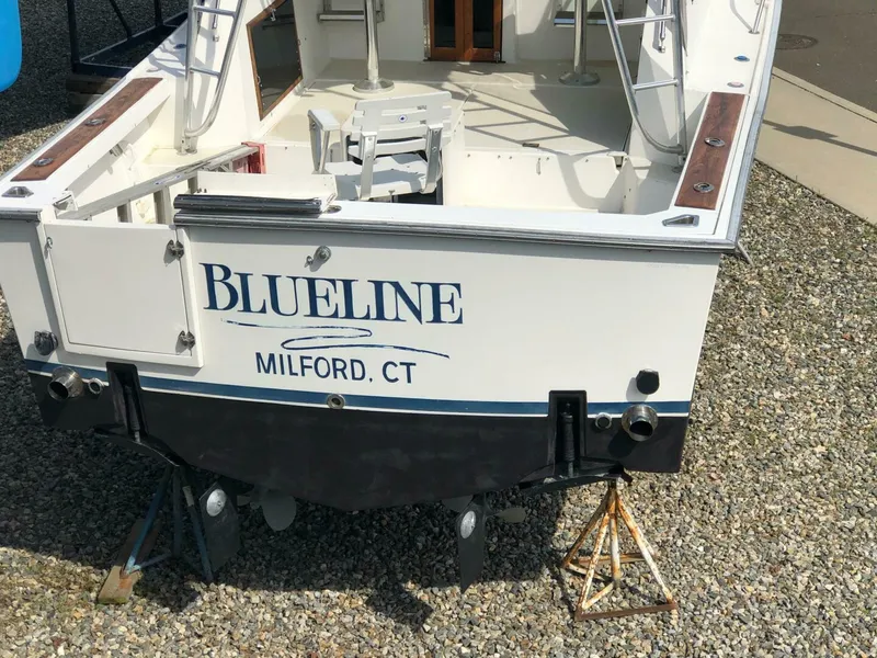 Slide: The Image of Shannon Brendan 28 1990 - 4907383