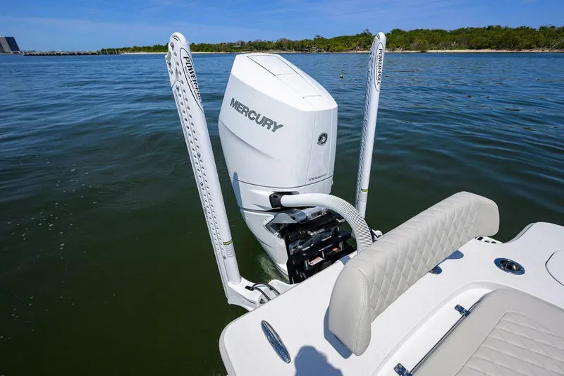 Slide: The Image of Conch 25 2024 - 4908764