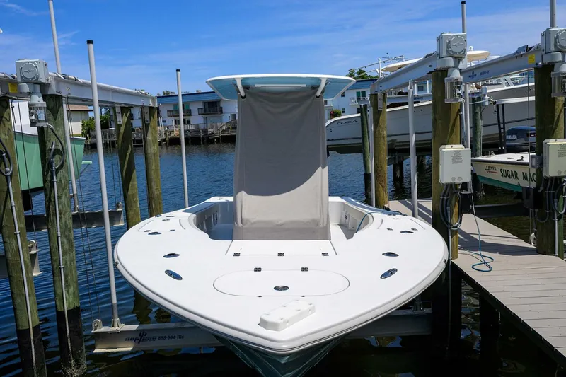 Slide: The Image of Conch 25 2024 - 4908767