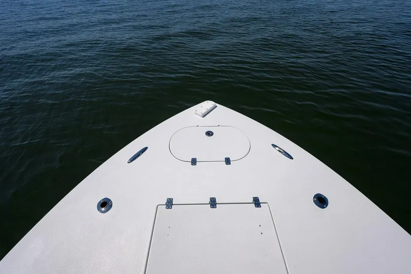 Slide: The Image of Conch 25 2024 - 4908725