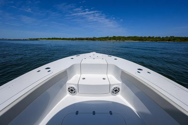 Slide: The Image of Conch 25 2024 - 4908727