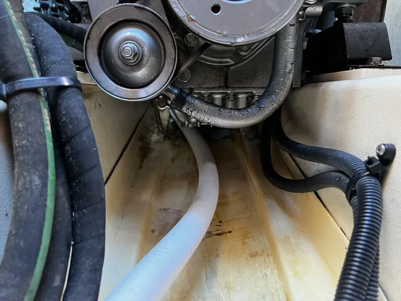 Slide: The Image of Hunter 33 2004 - 4909620