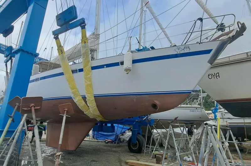 Slide: The Image of Taswell 49 1989 - 4933420